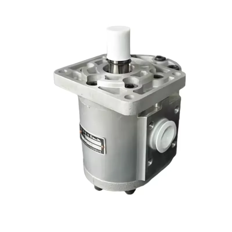 Oil Gear Pump CBN-E(F)320 CBN-E(F)325 CBN-F520 CBN-F320-AFP CBN-F325-AFP CBN-F304-AFPR CBN-F306-AFPR CBN-F308-AFPR