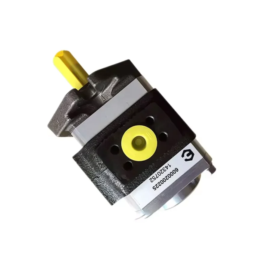 Injection Molding Machine Internal Gear Oil Pump 890-EI-0320/0400/500-RS2/FS2-C302/C312/C313 890-EI-0320-RK2-C313