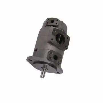 F11 Series F11-SQP32-25-14-86DC-18 Hydraulic Oil Pumps F11-SQP3-35-86B-LH-18 Vane F11-SQP43-42-35-86DD-18