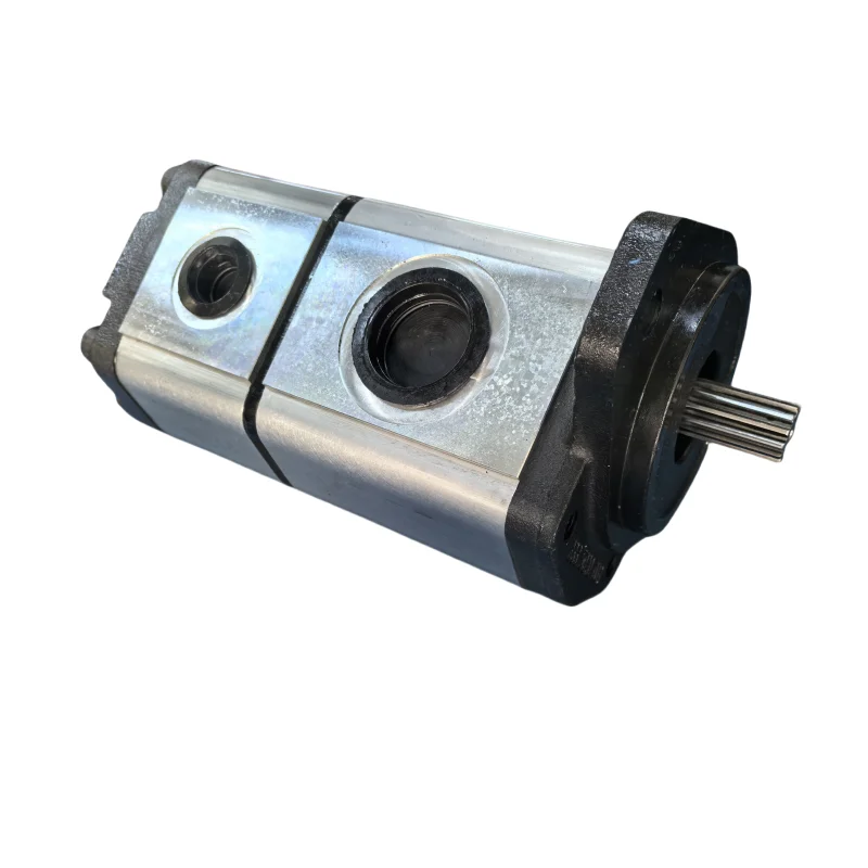 ALPA3A-D-94-S1-FG+ALPP3-D-30-FG Hydraulic Gear Piston Motor ALPA3 ALPP ALPP2