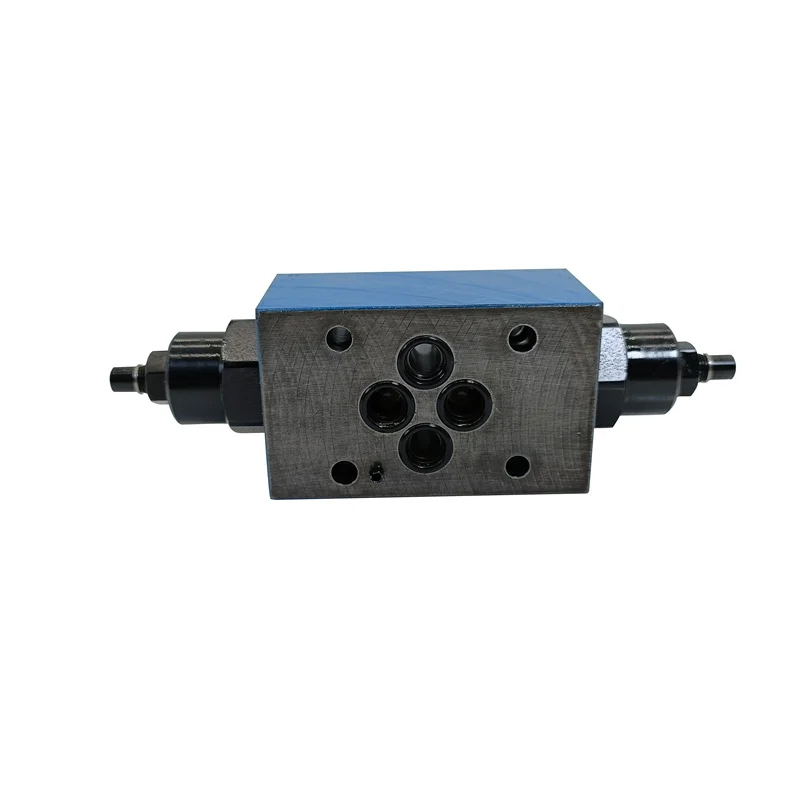 DGMFN -3-X-A2W-B2W-41 DGMFN-3Y-A2W-B2W-41 DGMFN-5-X-A2W-B2W-30 DGMFN-5-Y-A2W-B2W-30 Hydraulic Check Valve DGMFN 3 Y A2W BZW 41