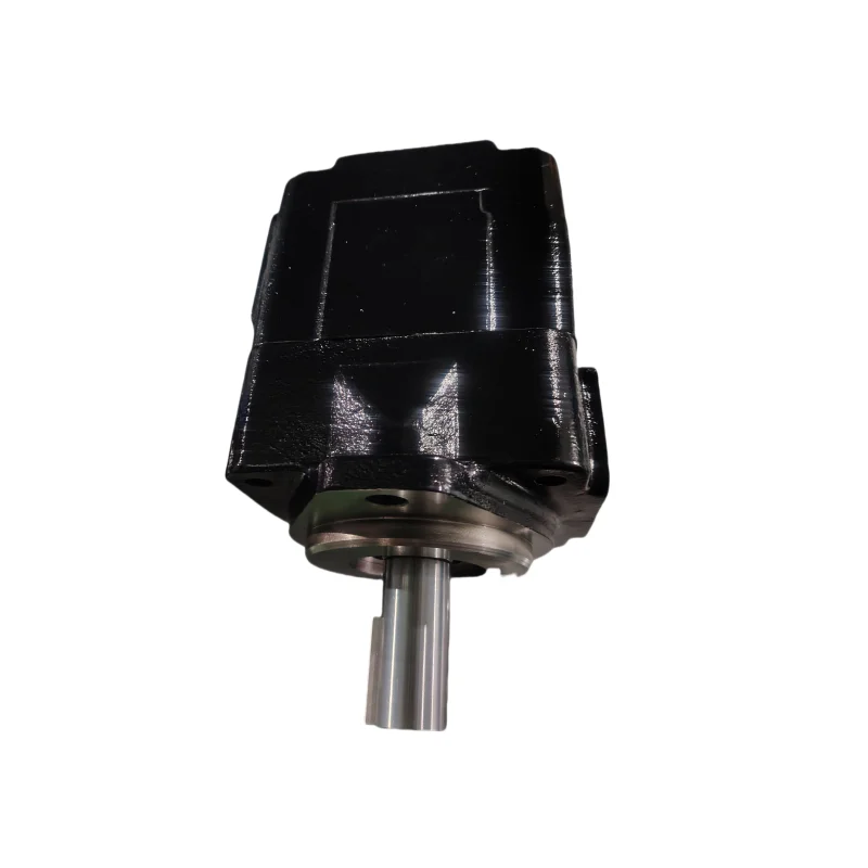 Hydraulic Vane T6E Series Oil Pumps T6E-042/045/050/052/057/062/066/072/085 T6E-042-1R00-A1 T6E-045-1R00-A1 T6E-066-1L00-A1