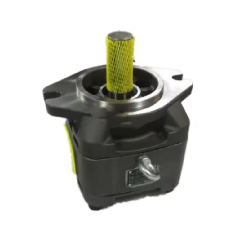 HG HG0 HG1 HG2 Series Hydraulic Internal Gear Single Stage Pump HG2-100-01R-VPC-36 Injection High Pressure