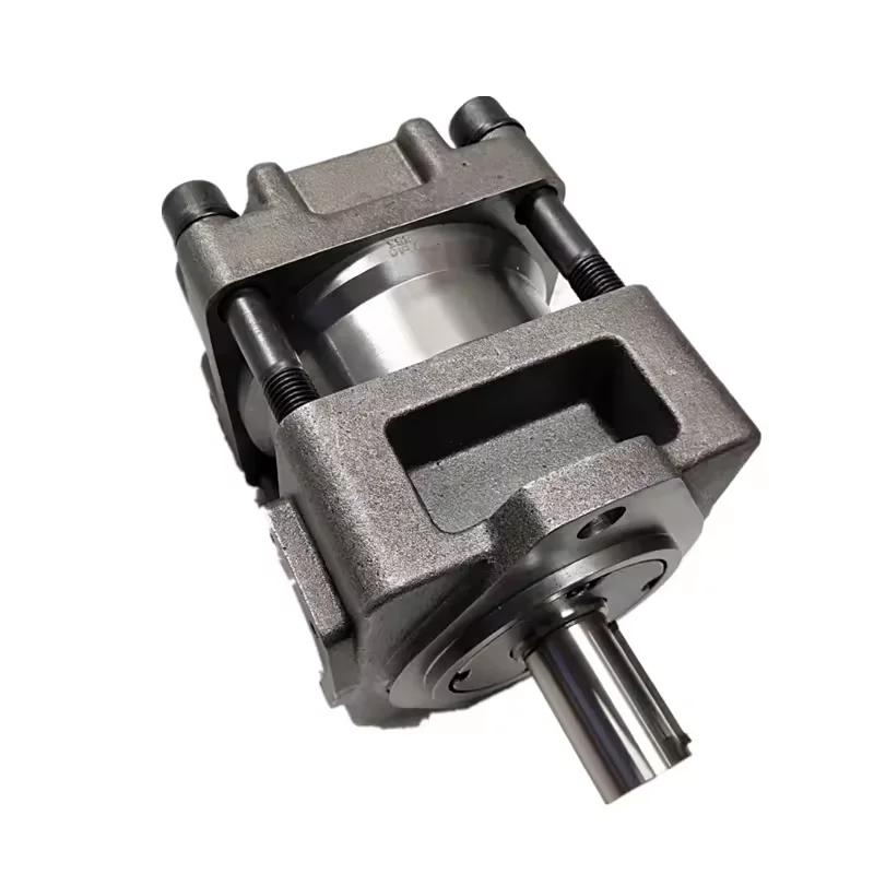 QT QT42 QT52 QT62 QT63 QT4N QT5N QT6N QT8N Hydraulic High Pressure Internal Gear Pump QT6N-100-BP-Z